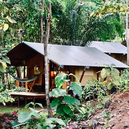 El Pulpo Safari Lodge Ojochal Eksteriør bilde