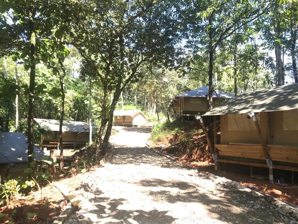 El Pulpo Safari Lodge Ojochal Eksteriør bilde