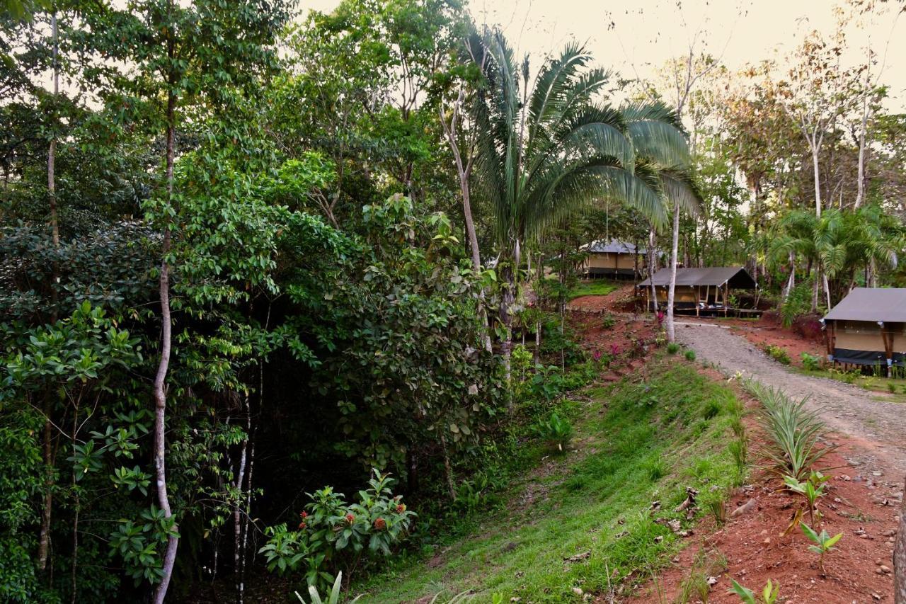 El Pulpo Safari Lodge Ojochal Eksteriør bilde