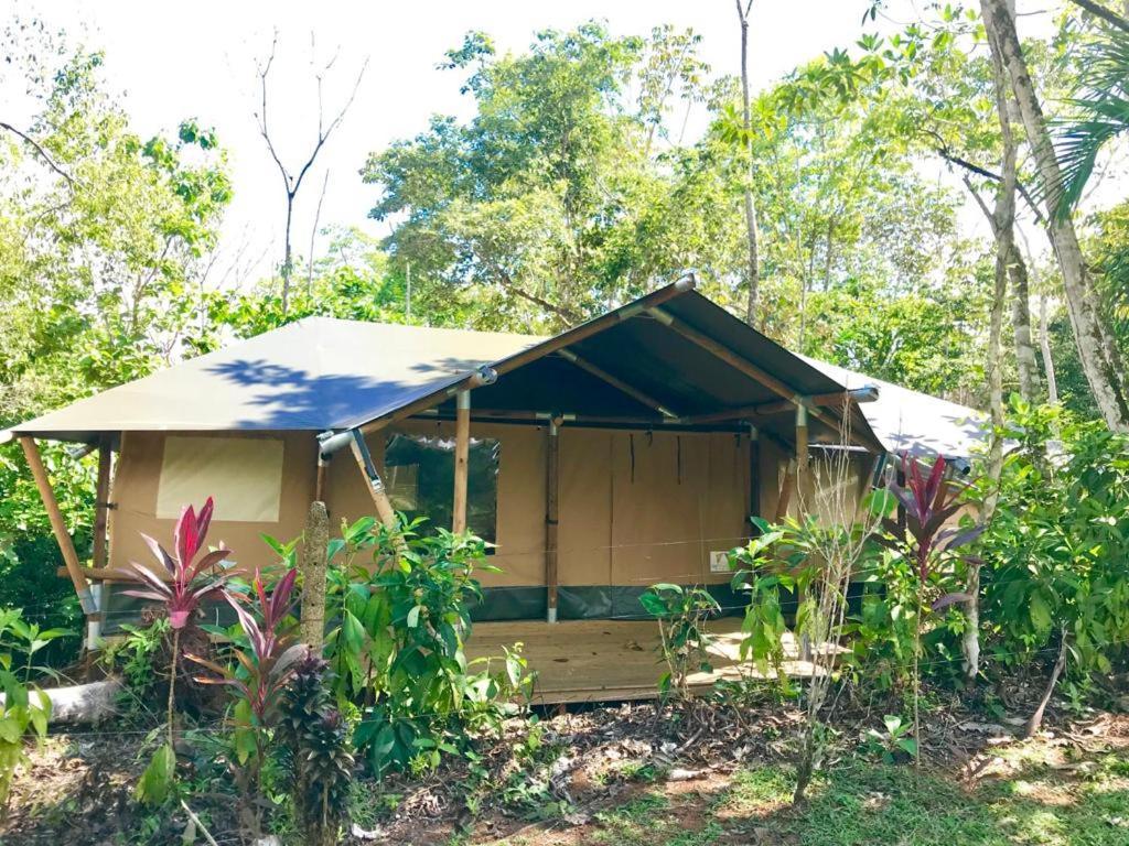El Pulpo Safari Lodge Ojochal Eksteriør bilde