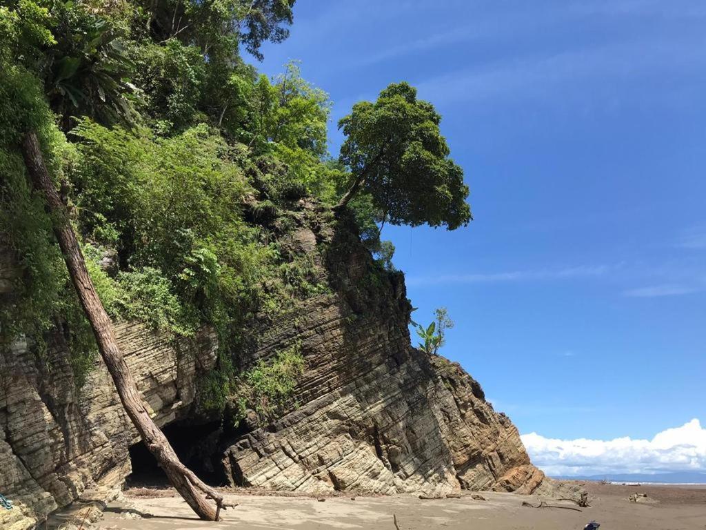 El Pulpo Safari Lodge Ojochal Eksteriør bilde