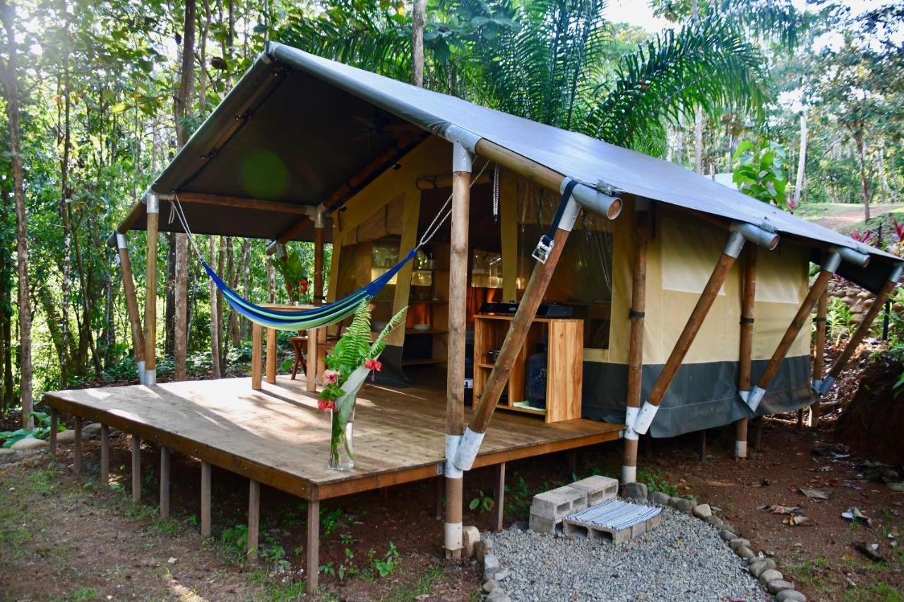 El Pulpo Safari Lodge Ojochal Eksteriør bilde