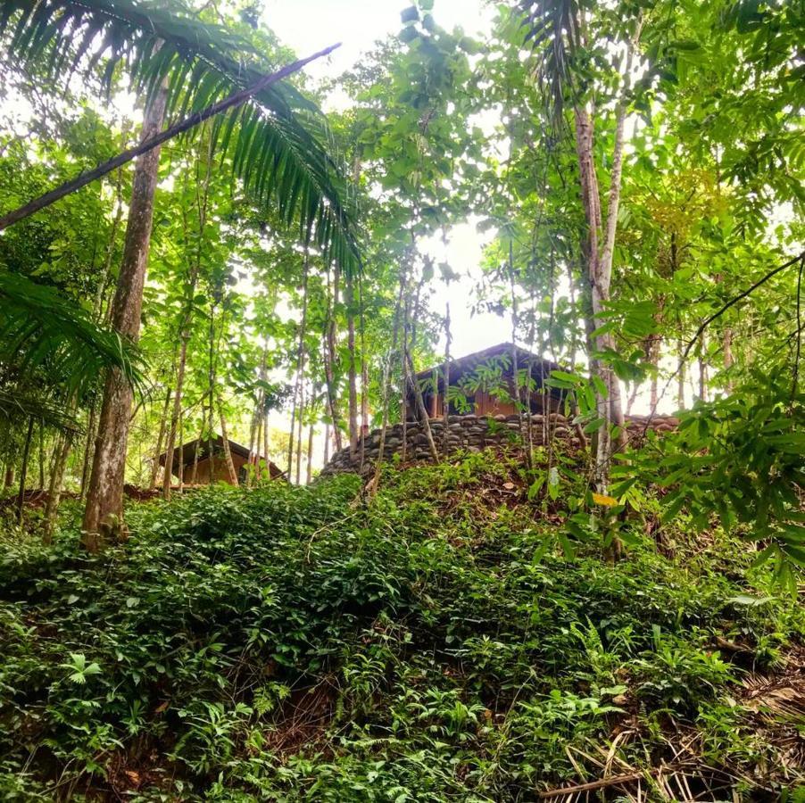 El Pulpo Safari Lodge Ojochal Eksteriør bilde