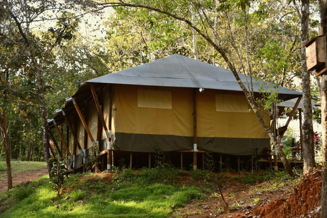 El Pulpo Safari Lodge Ojochal Eksteriør bilde
