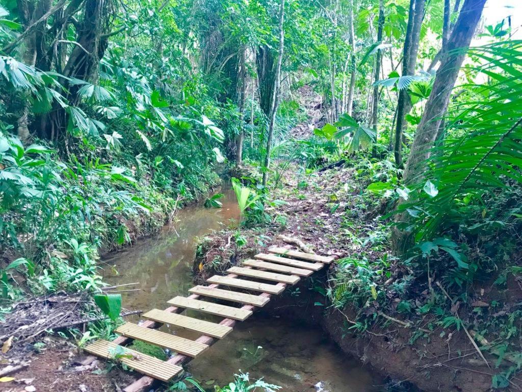 El Pulpo Safari Lodge Ojochal Eksteriør bilde