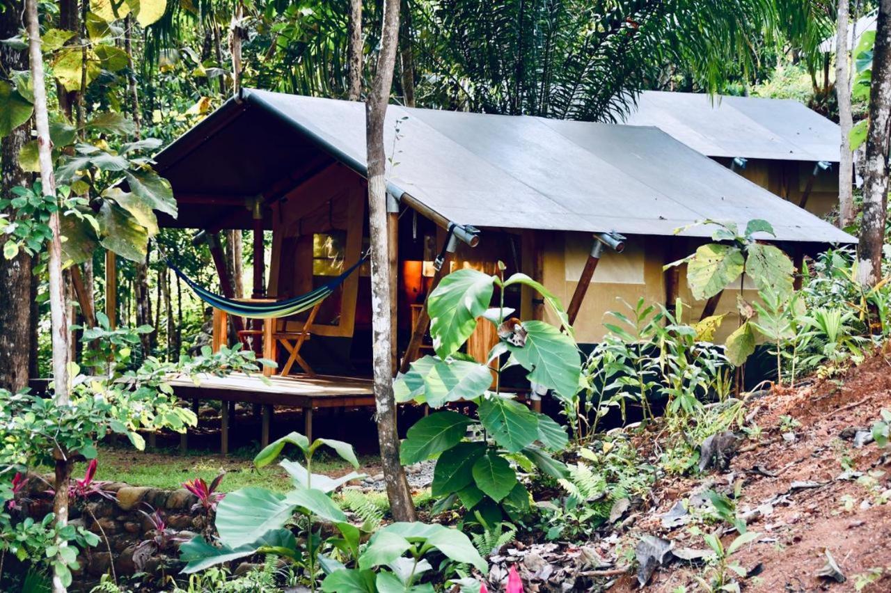 El Pulpo Safari Lodge Ojochal Eksteriør bilde
