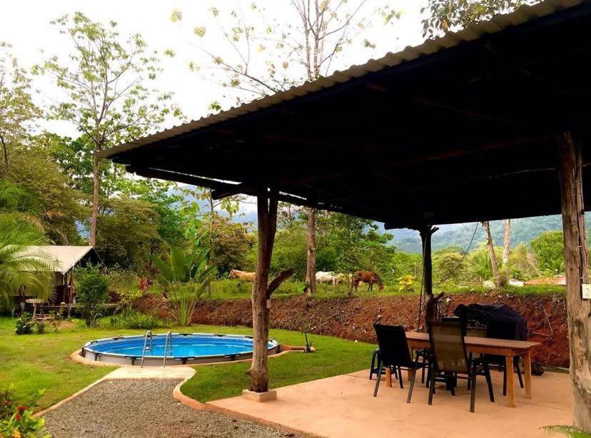El Pulpo Safari Lodge Ojochal Eksteriør bilde